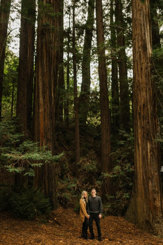 A couple stands close together on a forest floor covered in fallen leaves, surrounded by towering redwood trees, with soft daylight filtering through the dense canopy above. by Justin Salem Meyer