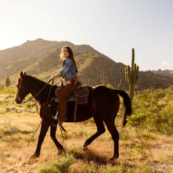 A woman in a denim jacket and brown pants rides a dark horse through a desert landscape with cacti and mountains in the background, bathed in warm sunlight. by Justin Salem Meyer