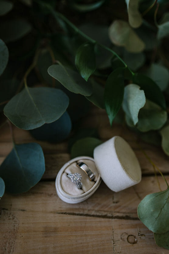 Two rings, a diamond engagement ring and a wedding band, sit in an open, round, cream-colored ring box on a wooden surface, surrounded by green eucalyptus leaves. by Justin Salem Meyer