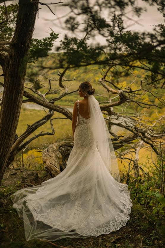 A bride in a lacy, white wedding gown and long veil stands outdoors with her back to the camera, surrounded by twisted tree branches and lush greenery under a cloudy sky. by Justin Salem Meyer