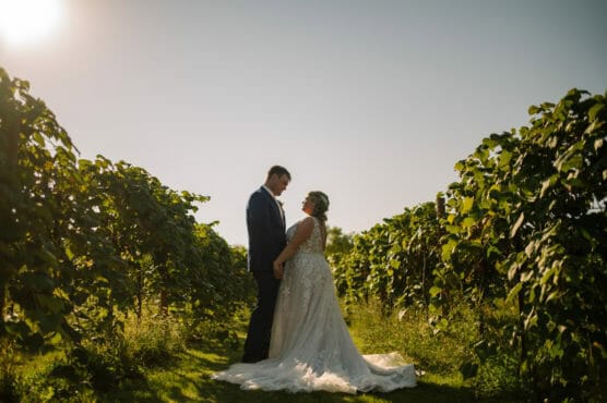 A bride and groom stand facing each other, holding hands in a sunlit vineyard with lush green vines on both sides, dressed in wedding attire under a clear blue sky. by Justin Salem Meyer