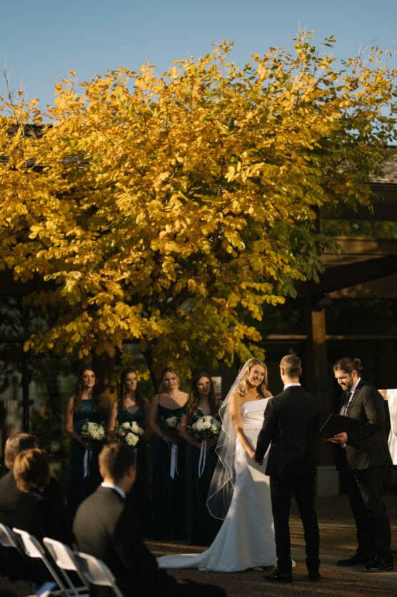 A bride and groom stand facing each other during an outdoor wedding ceremony in front of a tree with golden autumn leaves, with bridesmaids in dark dresses holding bouquets beside them. by Justin Salem Meyer