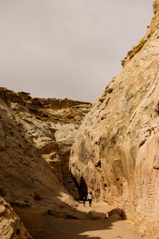 Two people walk through a narrow, sunlit canyon with tall, rugged, beige rock walls towering above them under a pale sky. by Justin Salem Meyer