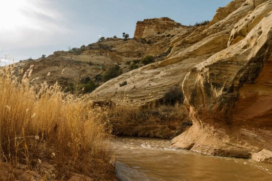 A river flows between rocky, tan sandstone cliffs and tall, dry grasses under a partly cloudy sky in a canyon landscape. by Justin Salem Meyer