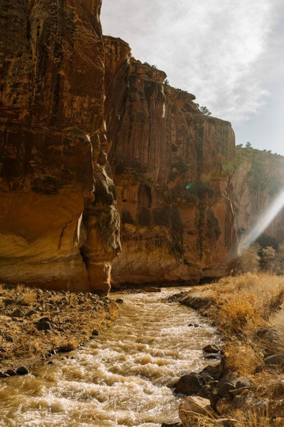 A rocky river flows through a canyon with steep, sunlit sandstone cliffs and dry grasses along the banks under a partly cloudy sky. by Justin Salem Meyer