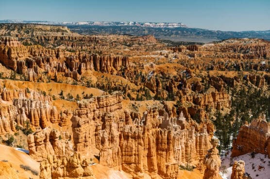 A panoramic view of Bryce Canyon, featuring orange and red rock spires, known as hoodoos, scattered across the rugged landscape with clear blue sky and snow-capped mountains in the distance. by Justin Salem Meyer