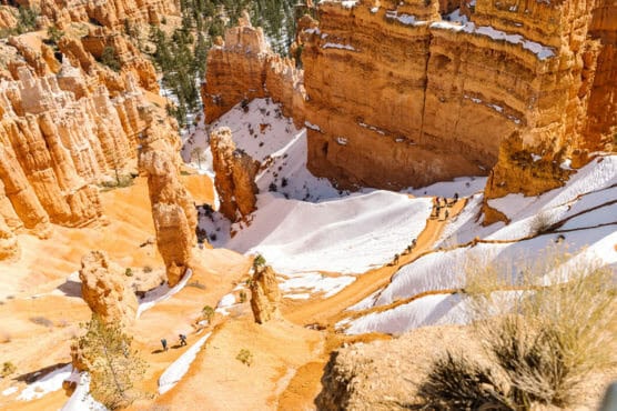 A view from above of a canyon with tall orange rock formations, patches of snow on the ground, and several people hiking along a winding trail, surrounded by pine trees. by Justin Salem Meyer