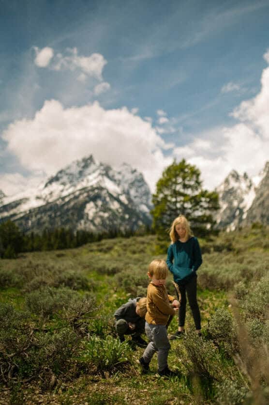 Three children play in a lush, grassy field with tall mountains and snow-covered peaks in the background under a partly cloudy sky. One child is in the foreground, while the others are further back. by Justin Salem Meyer