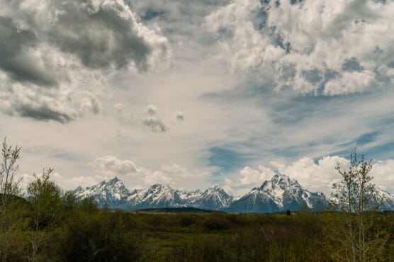 Snow-capped mountain range under a dramatic, partly cloudy sky with green vegetation and bushes in the foreground. by Justin Salem Meyer