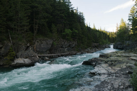 A fast-flowing river with white water rushes between rocky banks and dense pine trees in a forested mountain landscape under a partly cloudy sky. by Justin Salem Meyer