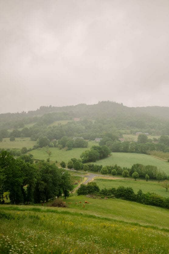 A misty landscape with rolling green hills, scattered trees, and a few distant houses under a cloudy sky. The scene appears peaceful and lush, with a winding road visible in the middle ground. by Justin Salem Meyer