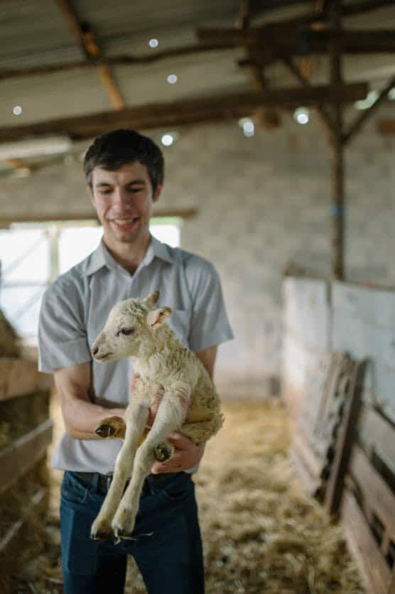 A young man in a short-sleeved shirt smiles while holding a small, white lamb inside a rustic barn with hay on the floor and wooden beams overhead. by Justin Salem Meyer