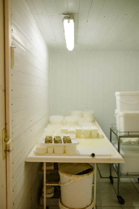 A white table in a small, brightly lit room holds plastic containers filled with white and speckled blocks, possibly cheese, with buckets and storage bins nearby. The room has white paneled walls and ceiling. by Justin Salem Meyer