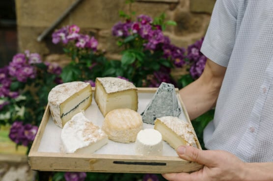 A person holds a wooden tray with assorted cheeses in different shapes and colors, standing outdoors in front of blooming purple flowers. by Justin Salem Meyer