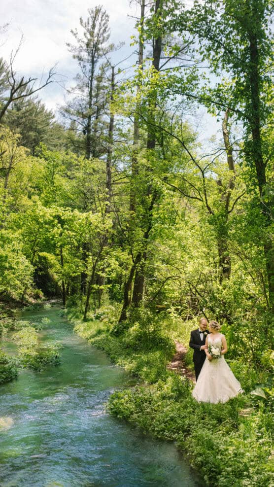 A bride and groom stand together by a clear, winding stream in a lush green forest, surrounded by tall trees and dense foliage on a sunny day. by Justin Salem Meyer