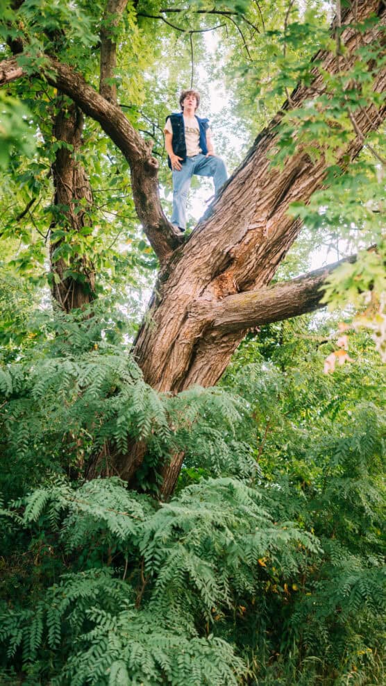 A person wearing jeans and a dark jacket stands confidently on a large branch high in a leafy, green tree surrounded by dense foliage. by Justin Salem Meyer