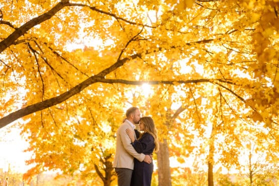 A couple embraces and kisses under tall trees with vibrant golden-yellow autumn leaves, sunlight shining through the branches and illuminating the scene. by Justin Salem Meyer