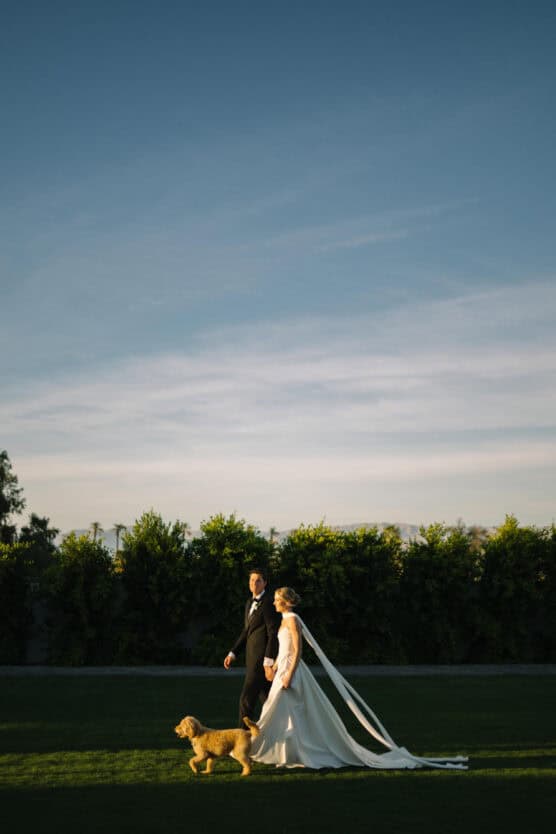 A bride and groom walk hand in hand on grass at sunset, with the bride’s veil flowing behind her and a small brown dog walking in front of them. The sky is clear with soft clouds and trees line the background. by Justin Salem Meyer