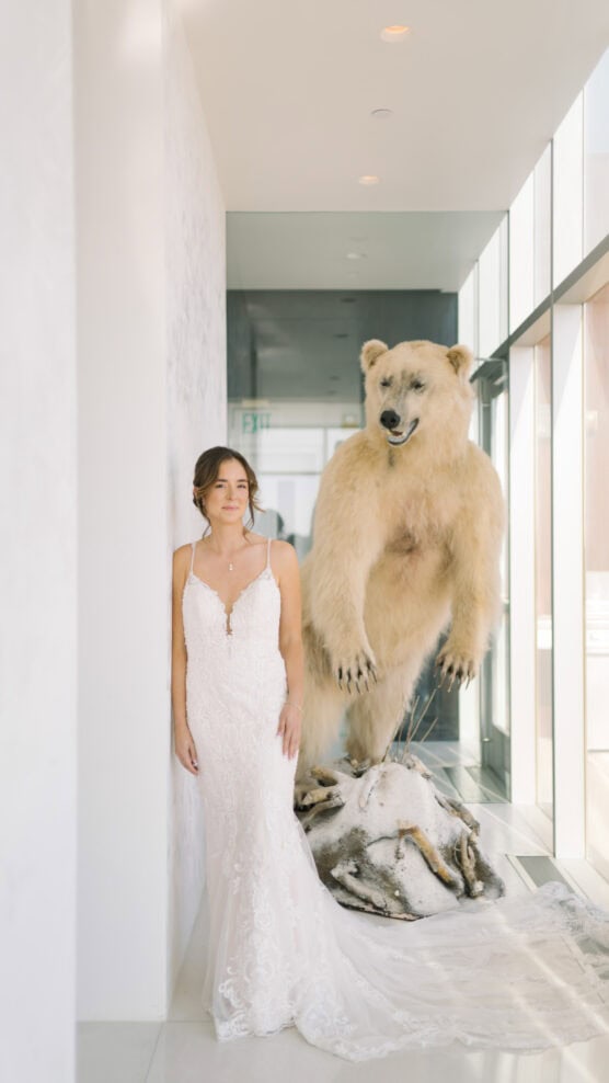 A bride in a white lace gown stands calmly against a white wall inside a modern building, next to a large taxidermy polar bear displayed on a snowy base. Natural light streams in from large windows. by Justin Salem Meyer
